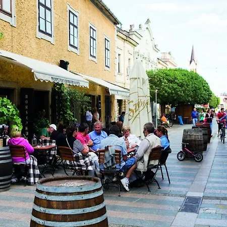 بيت للعطل In - Balaton 18989 *